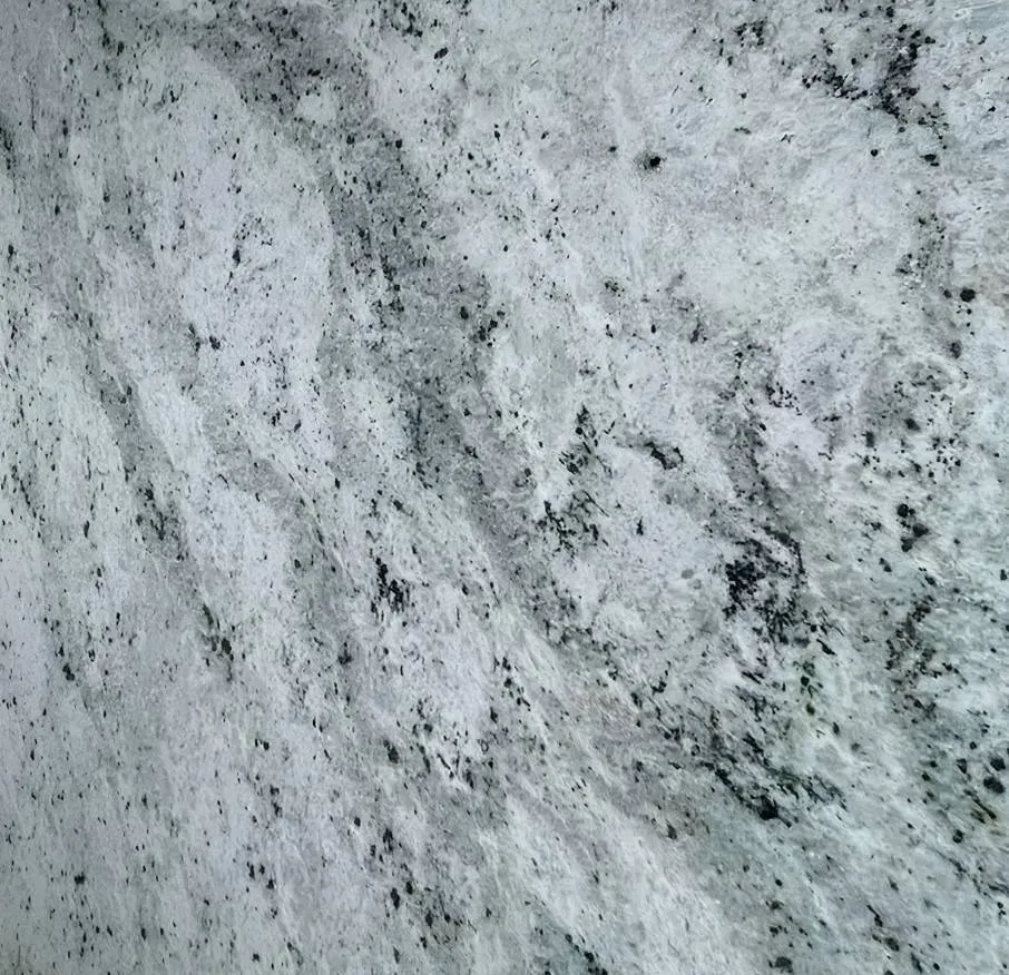 androméda - sensawebp